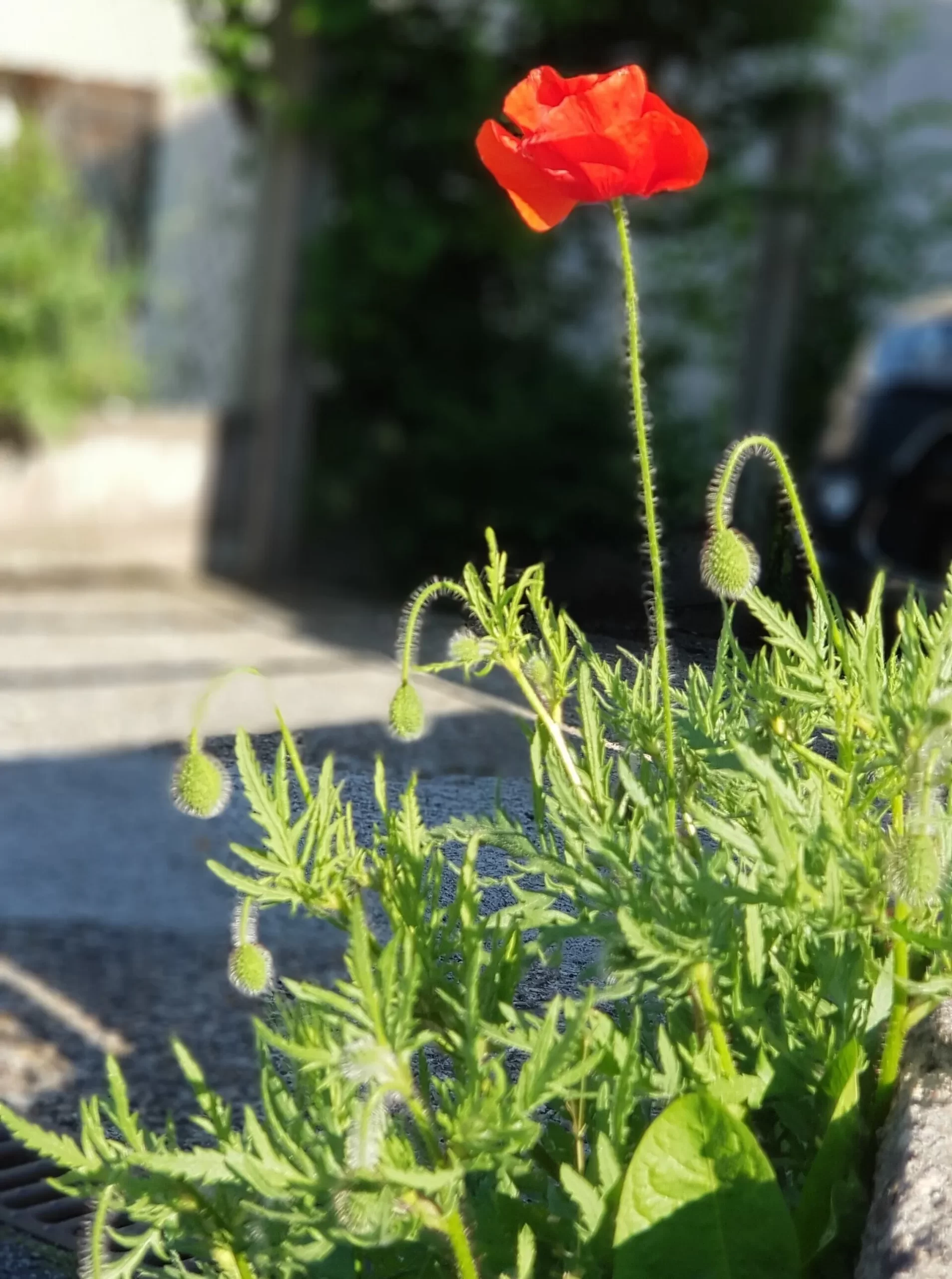 Perception conseil accompagnement ecologie